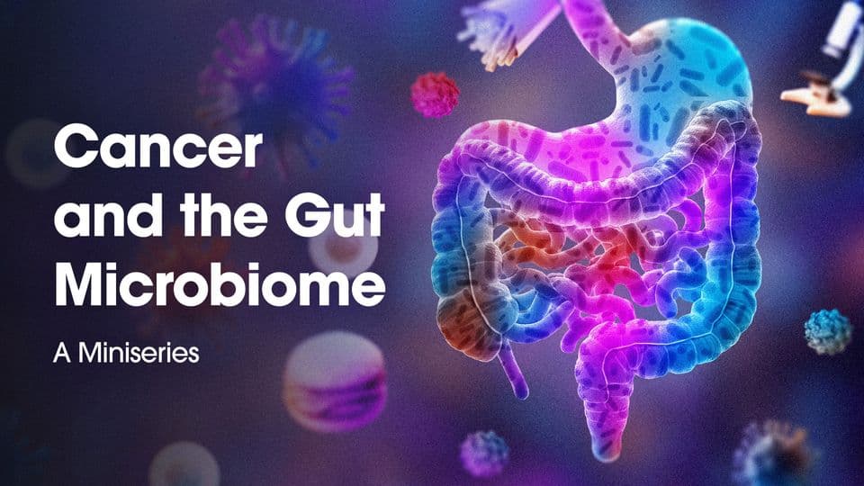 Gut Microbiome and Cancer: What Every Indian Woman Needs to Know About Her Invisible Organ